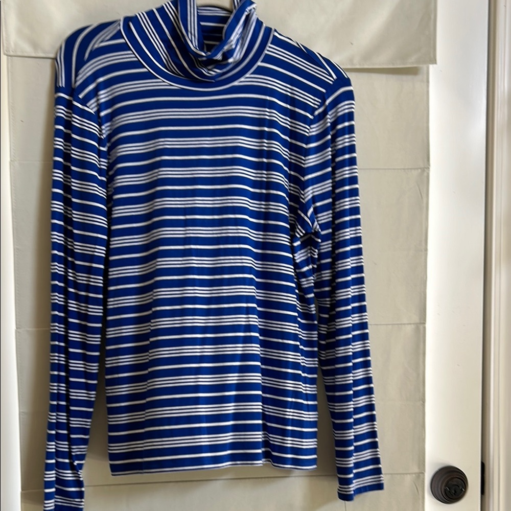 Blue and White Striped Turtleneck Top/matches the Talberts fleece vest